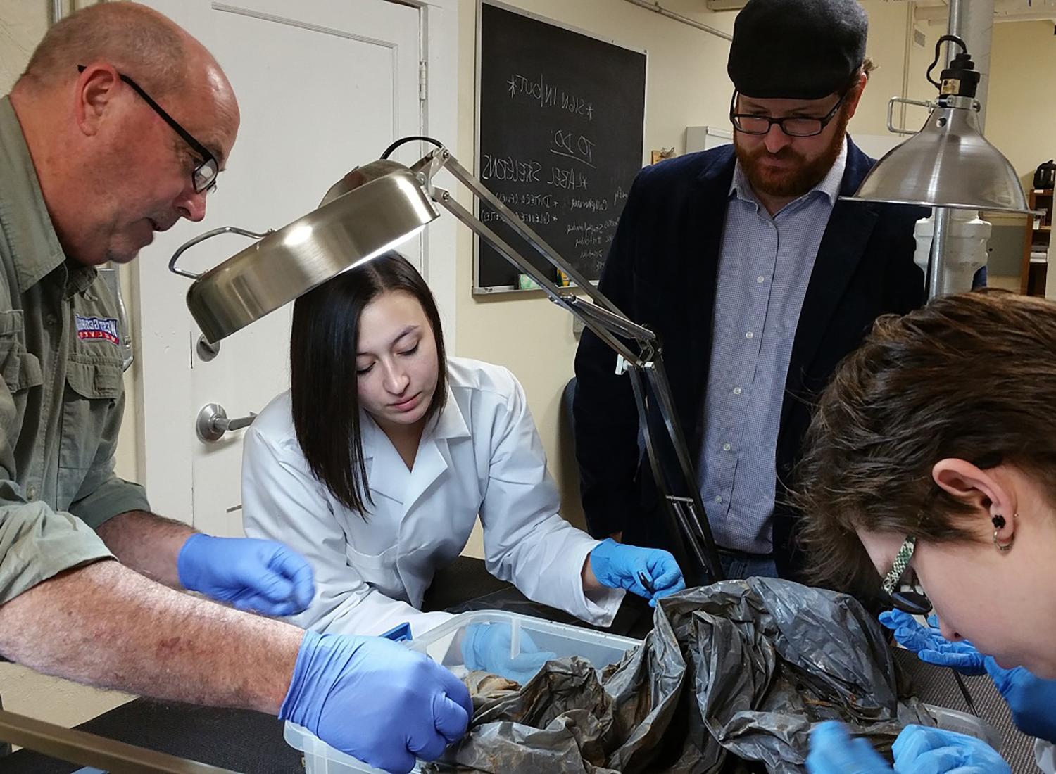 Students and professors working in the Biological and Forensic Anthropology Laboratory